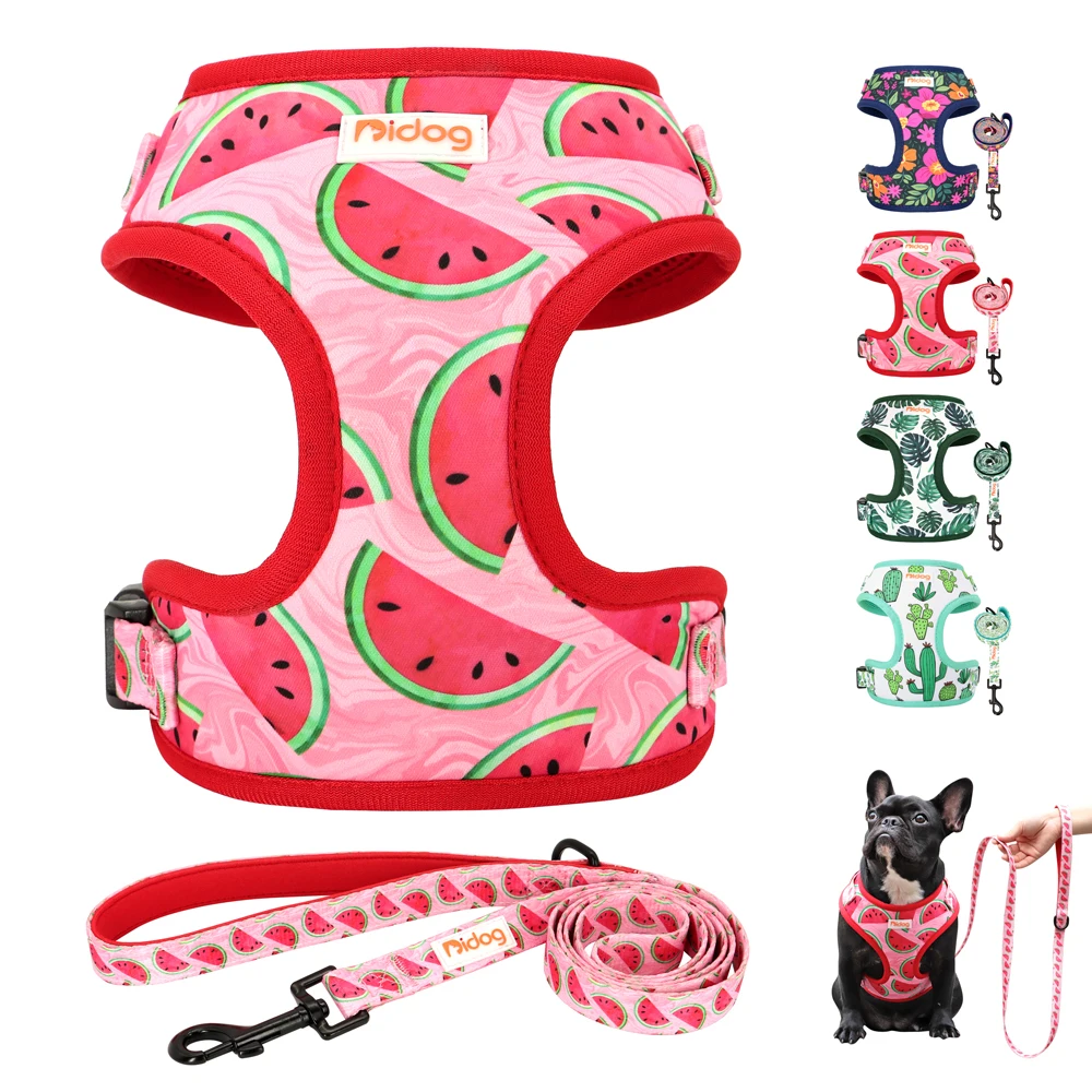 

Cute Print Dog Harness and Leash Set Nylon Mesh Dog Cat Harness Vest Pet Walking Lead Rope For Small Medium Dogs Cats Chihuahua