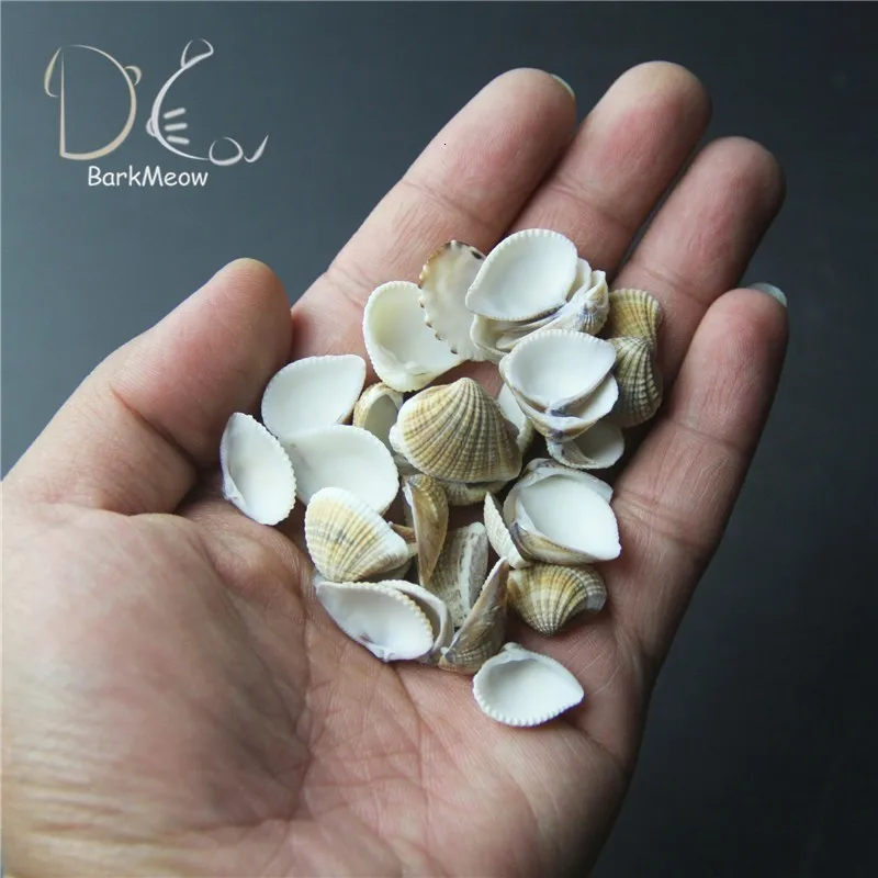 Случайный стиль 200 г натуральный корпус миниатюрный пейзаж украшение аквариума