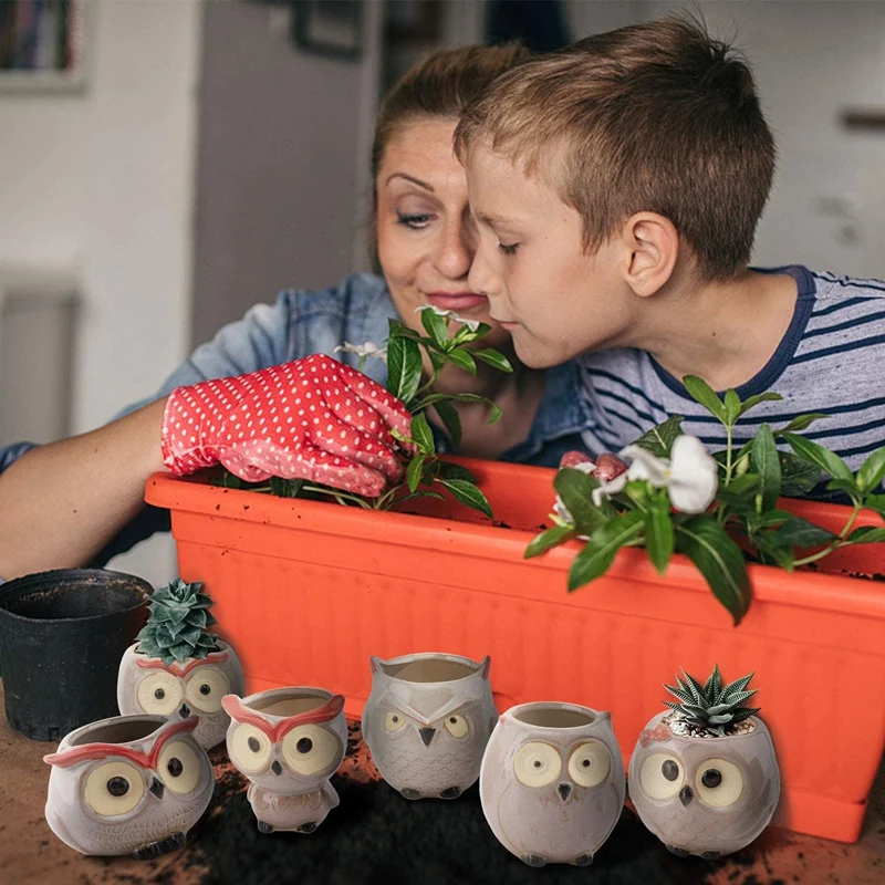 6 шт. керамические горшки для растений совы | Дом и сад
