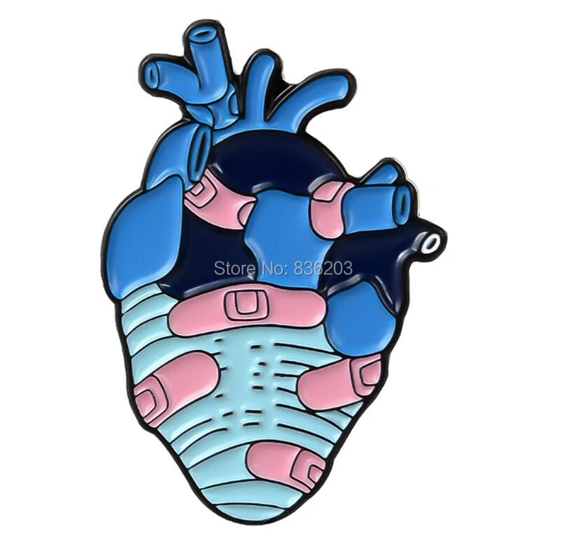 1pc human kindy Shape Brooch Pins anatomy skeleton medical Anatomical Model Lymph Node Enlargement male member traumatic pistol |