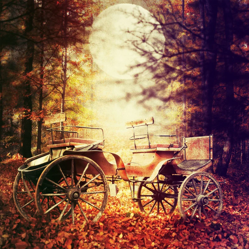 Laeacco Виниловый фон для фотосъемки с изображением темного леса дерева старой