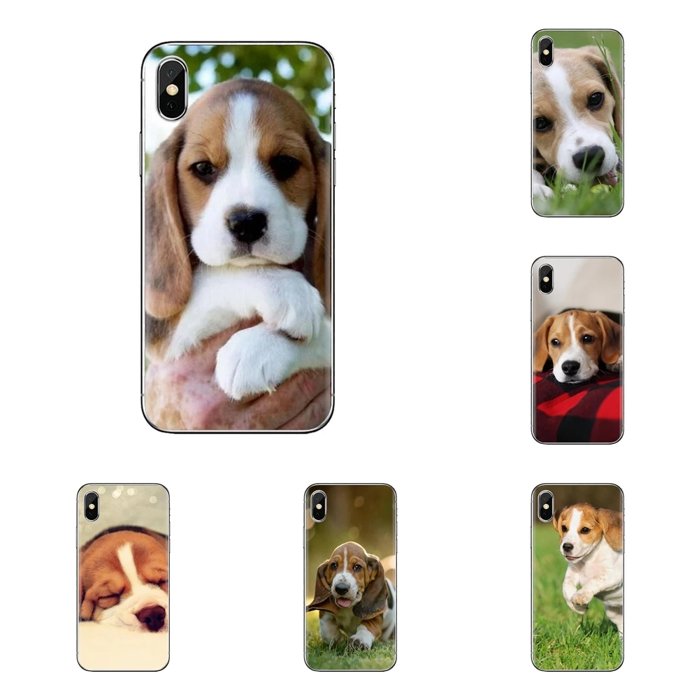 Собака породы Бигль Щенок прозрачный мягкий чехол Чехлы для Samsung Galaxy J1 J2 J3 J4 J5 J6 J7 J8