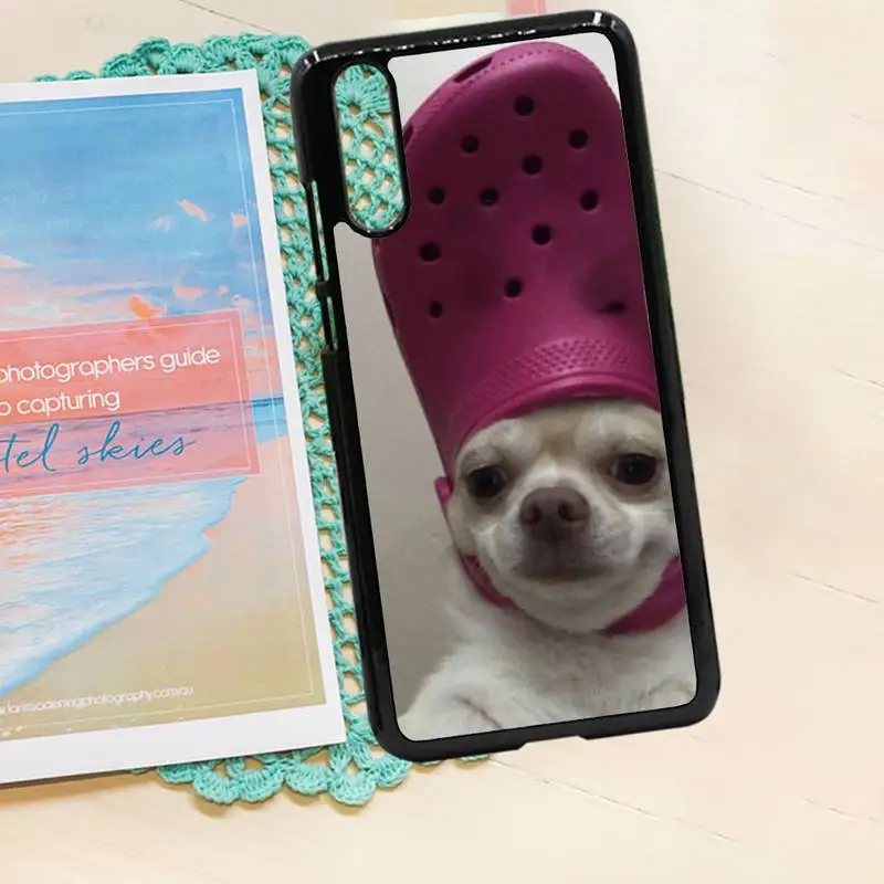 

Chihuahua dog cute animal soft tpu shell cover Phone Case PC for iPhone 11 12 pro XS MAX 8 7 6 6S Plus X 5S SE 2020 XR