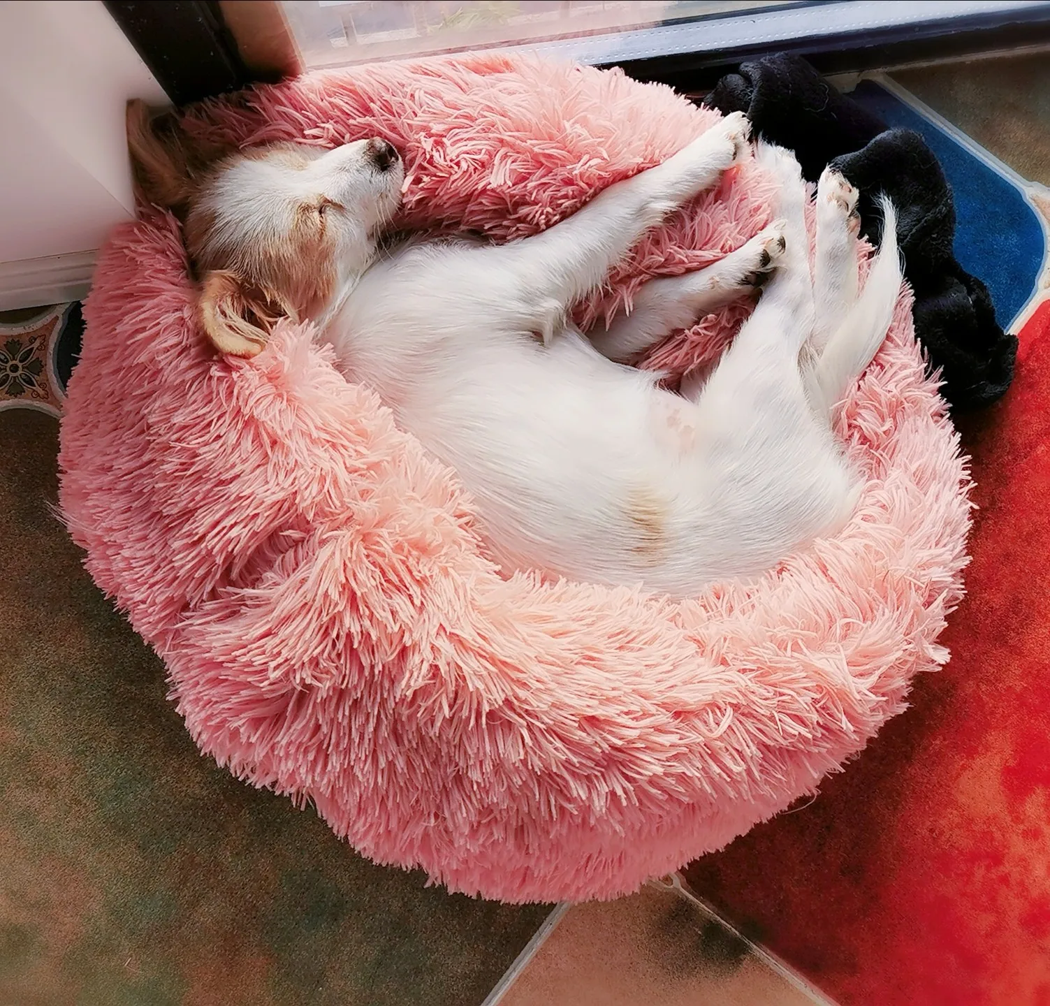 Моющаяся кровать для питомца собаки питомника кошки теплый удобный дом легко