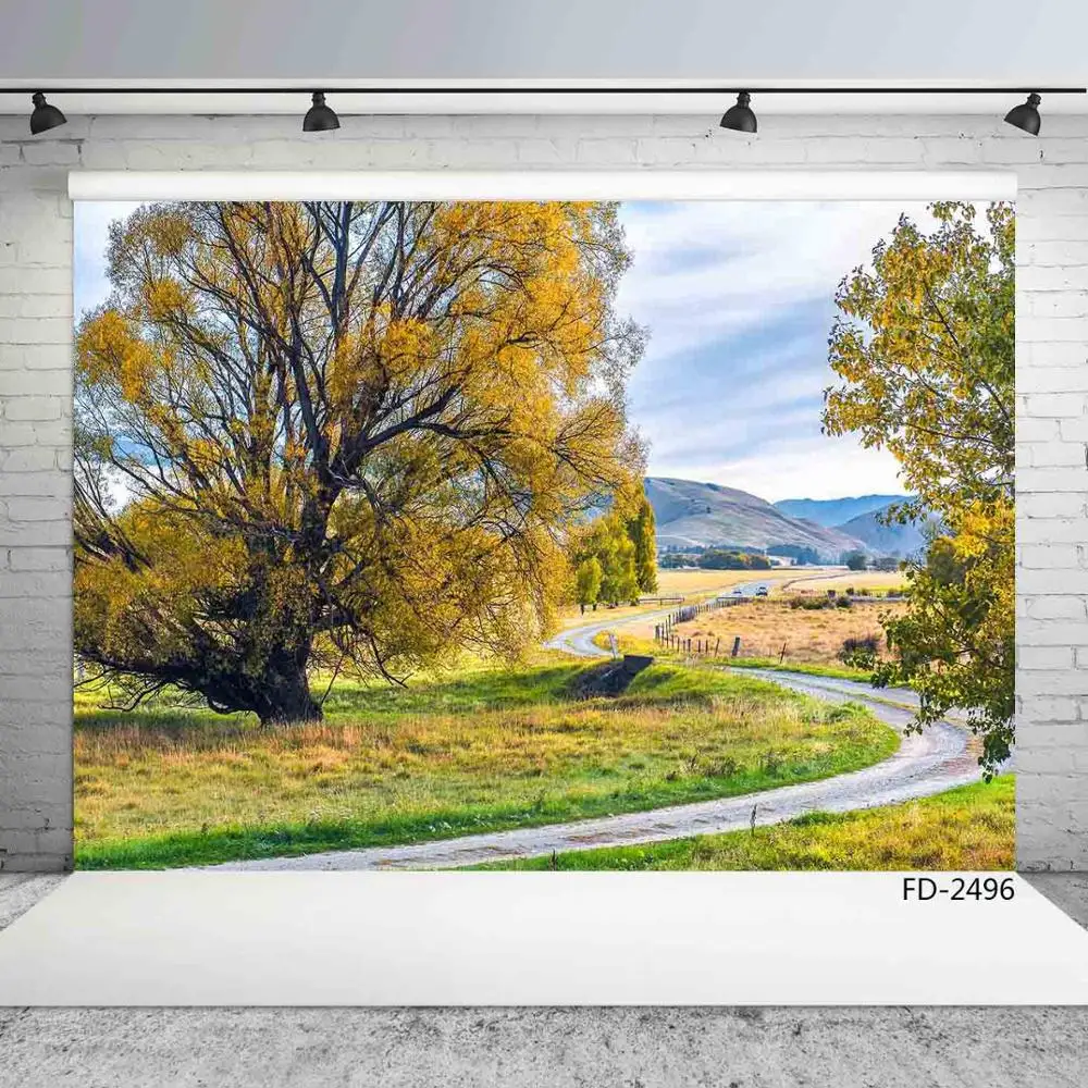 Фон для студийной фотосъемки с изображением осенних деревьев и травы |