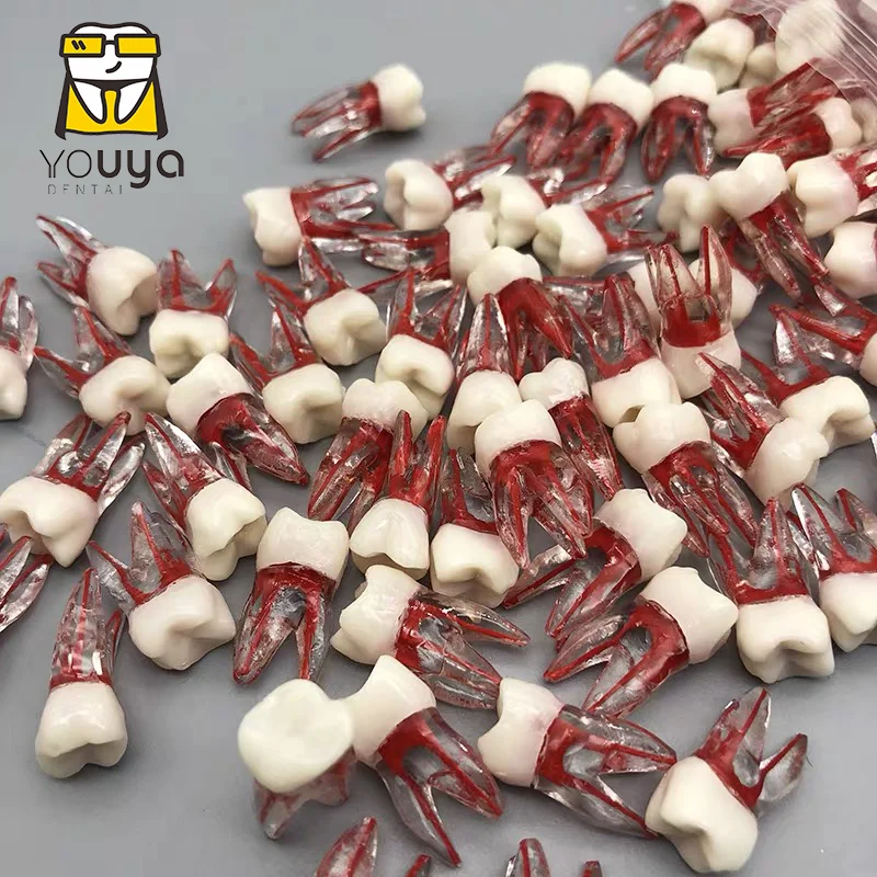 Новый стоматологический напильник для зубного корня модель канала ЦР практика