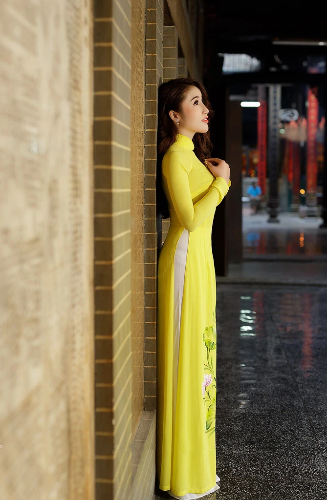 Традиционное китайское платье из Вьетнама юбка средней длины ручная роспись