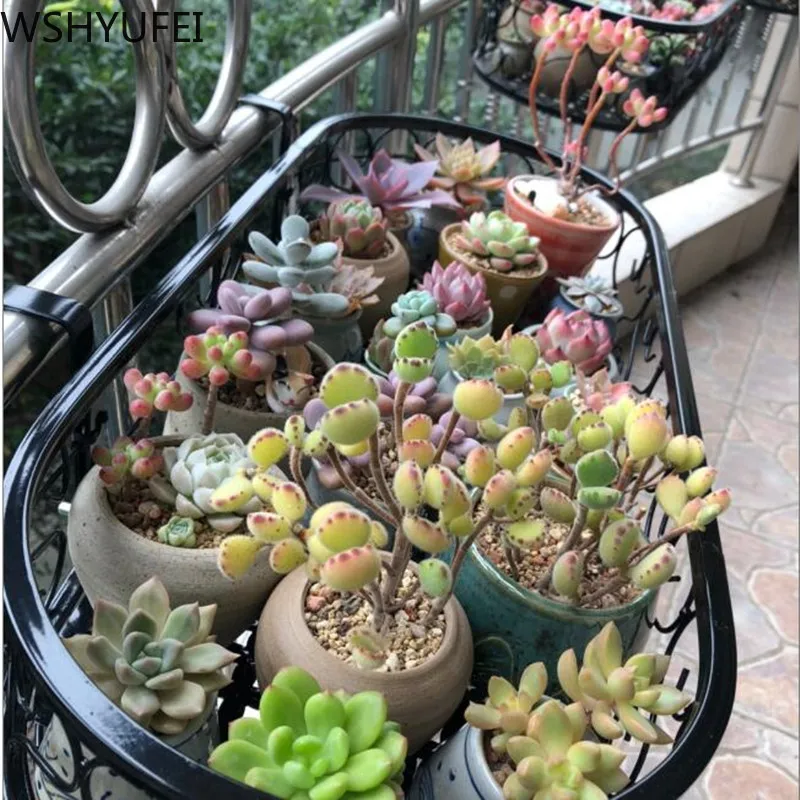 Подвесная корзина для цветов железная стойка растений Балконная круглая