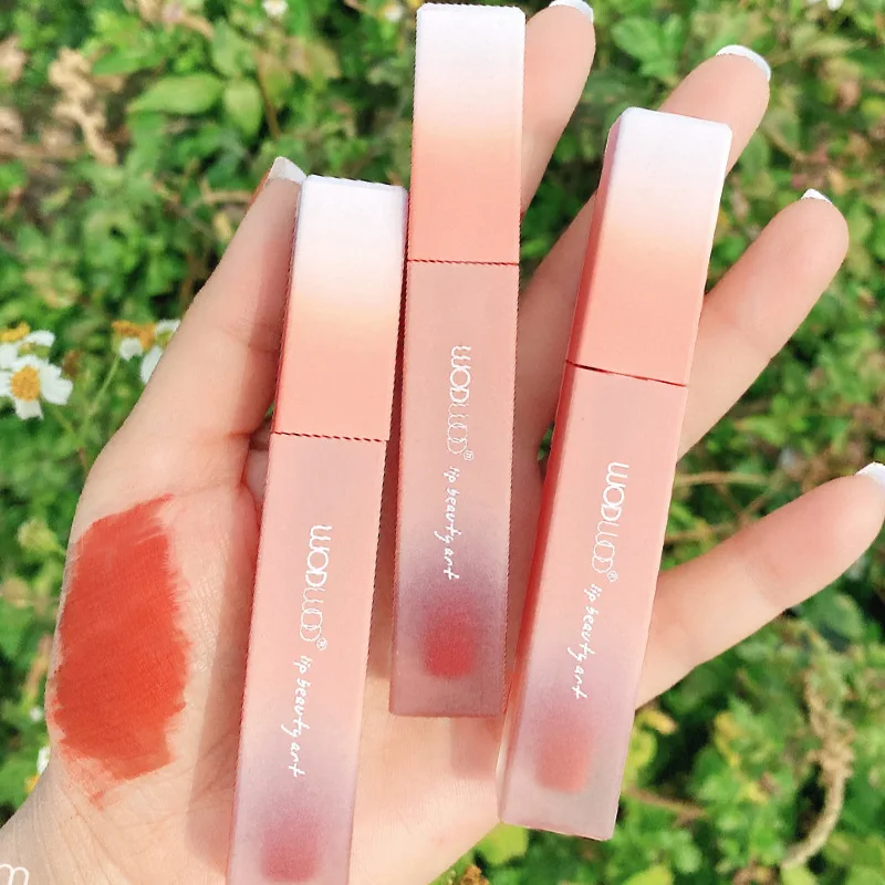 

New Matte Lip Gloss Sexy Velvet Liquid Lipstick Waterproof Lip Tint Long Lasting Liquid Lipsticks Matte Easy To Wear Lips Makeup