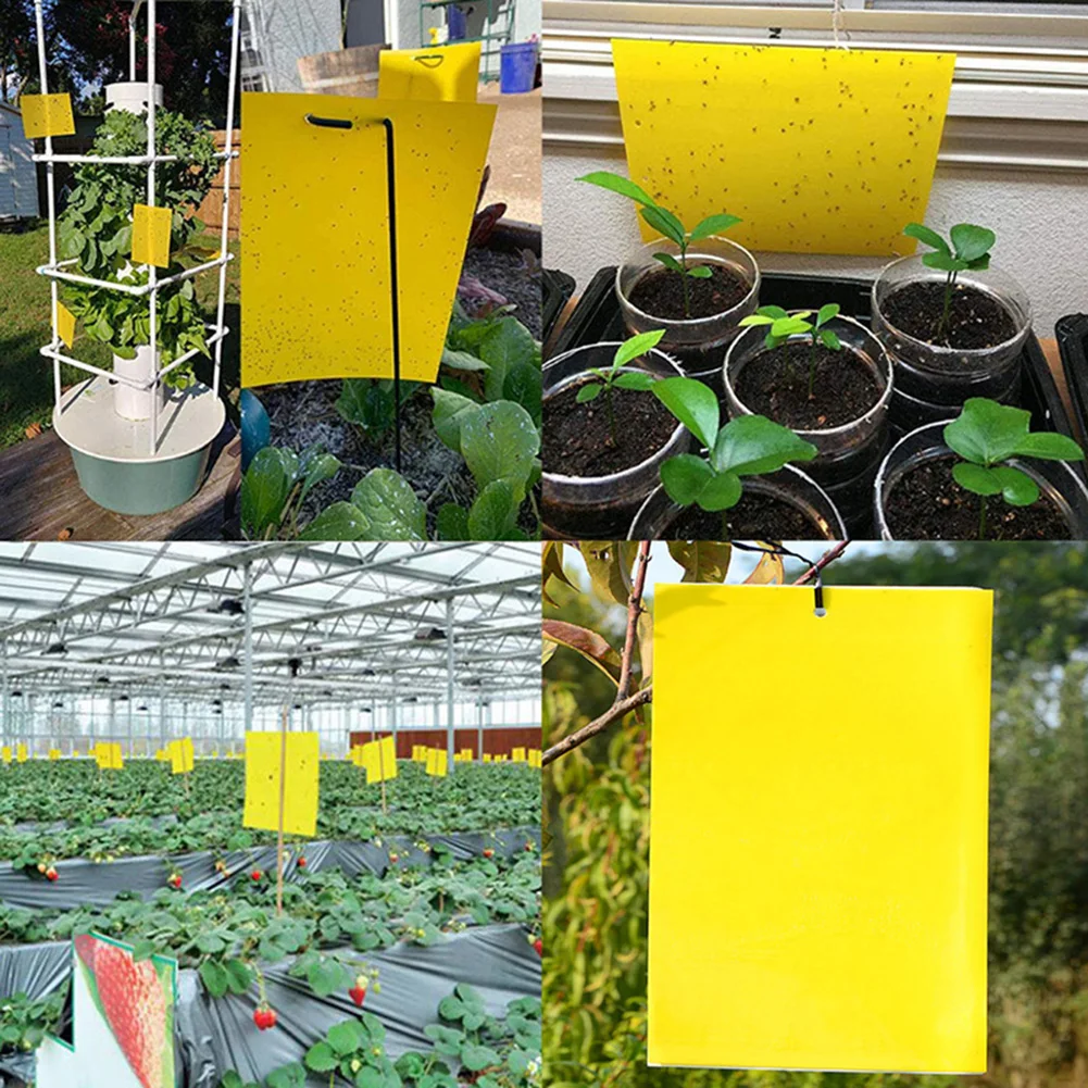 

50pcs Strong Sticky Board Catching Flies Bugs Plant Flowers Mosquito Insects Yellow Pest Killer for Kitchen Garden