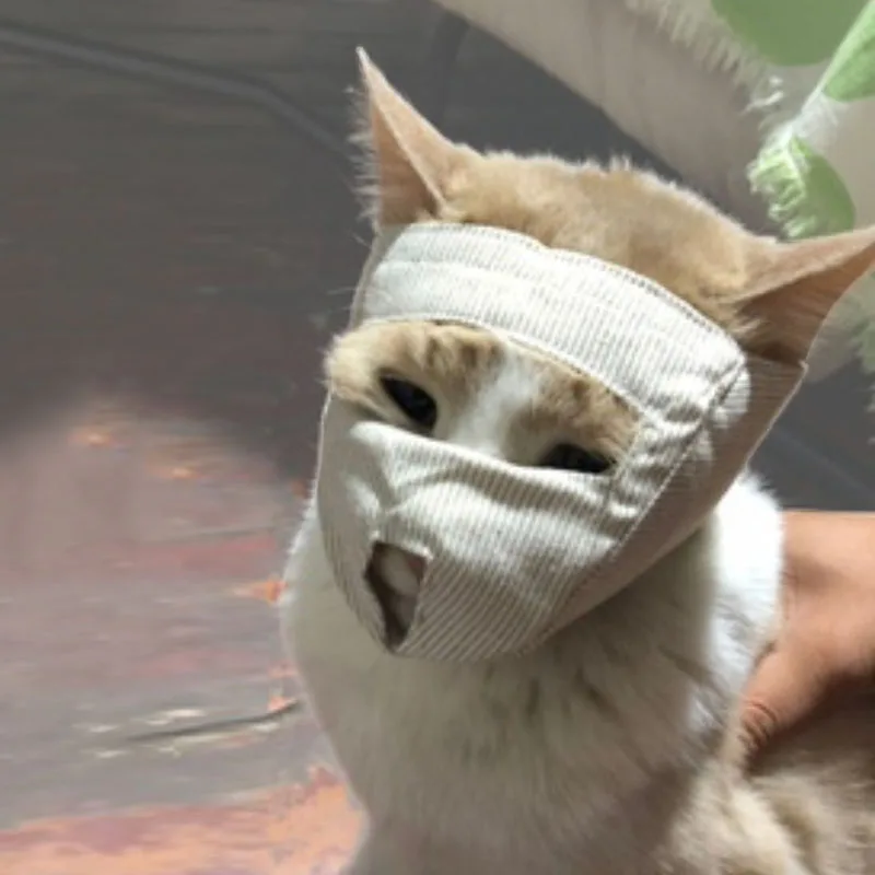 Дышащая Маска для рта регулируемая Экологически чистая маска домашних животных 1