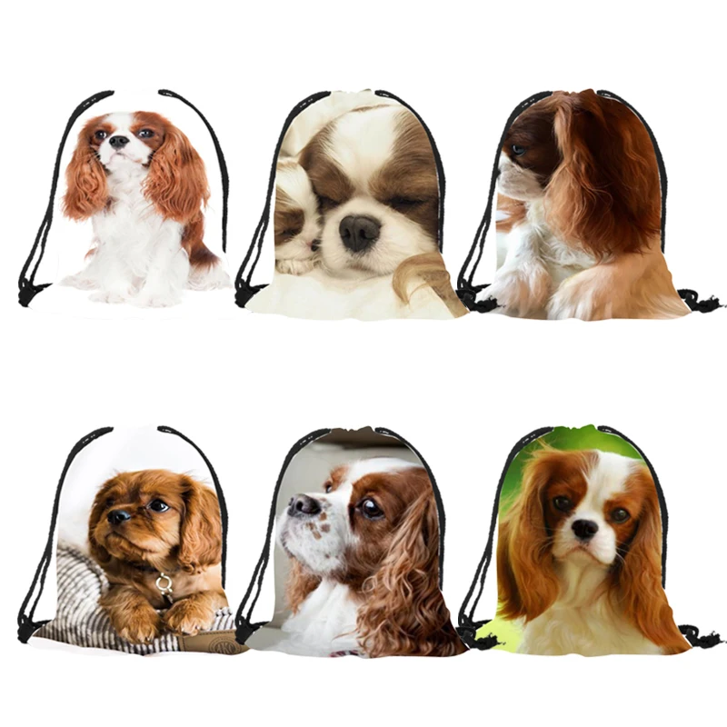 Прекрасный Чарльз спаниель с печатным рисунком женские сумки на завязках для