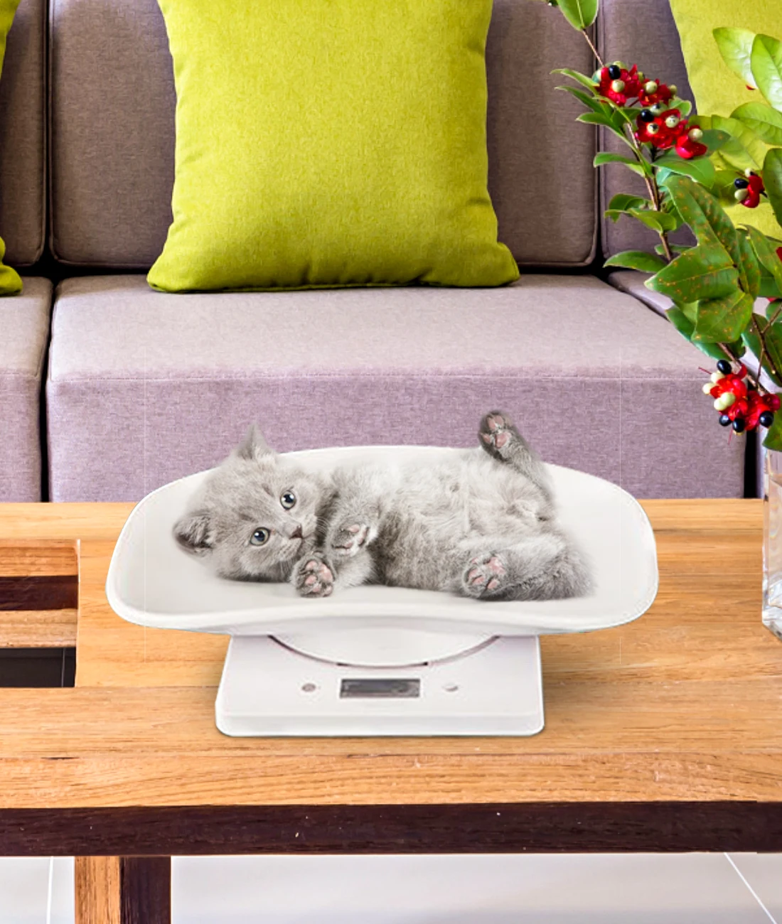 Электронные весы для покупок кухонные домашних животных небольшие с функцией