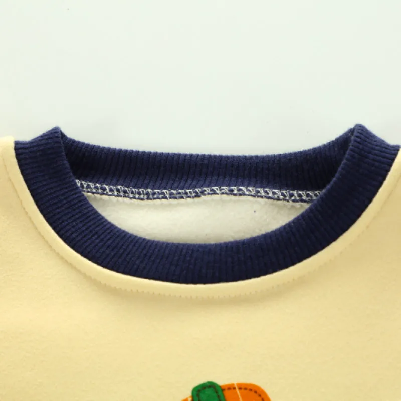 Детская толстовка для мальчиков с принтом льва осень весна|sweatshirt children|children's