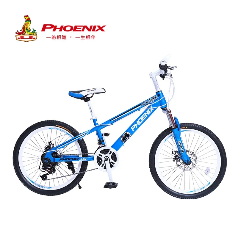 Kaufen Phoenix Fahrrad 20 / 22 Zoll Kinder Fahrrad Für Jungen Und Mädchen