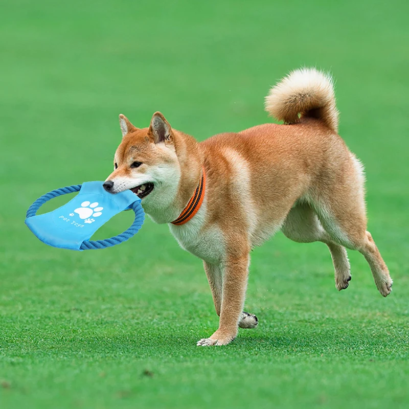 1 шт. новый продукт для домашних животных летающий диск собак Интерактивные
