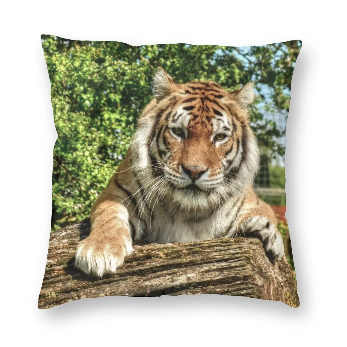 

Tiger Big Cats Animals Pillowcase Soft Polyester Cushion Cover Gift Pillow Case Cover Car Zippered 45*45cm