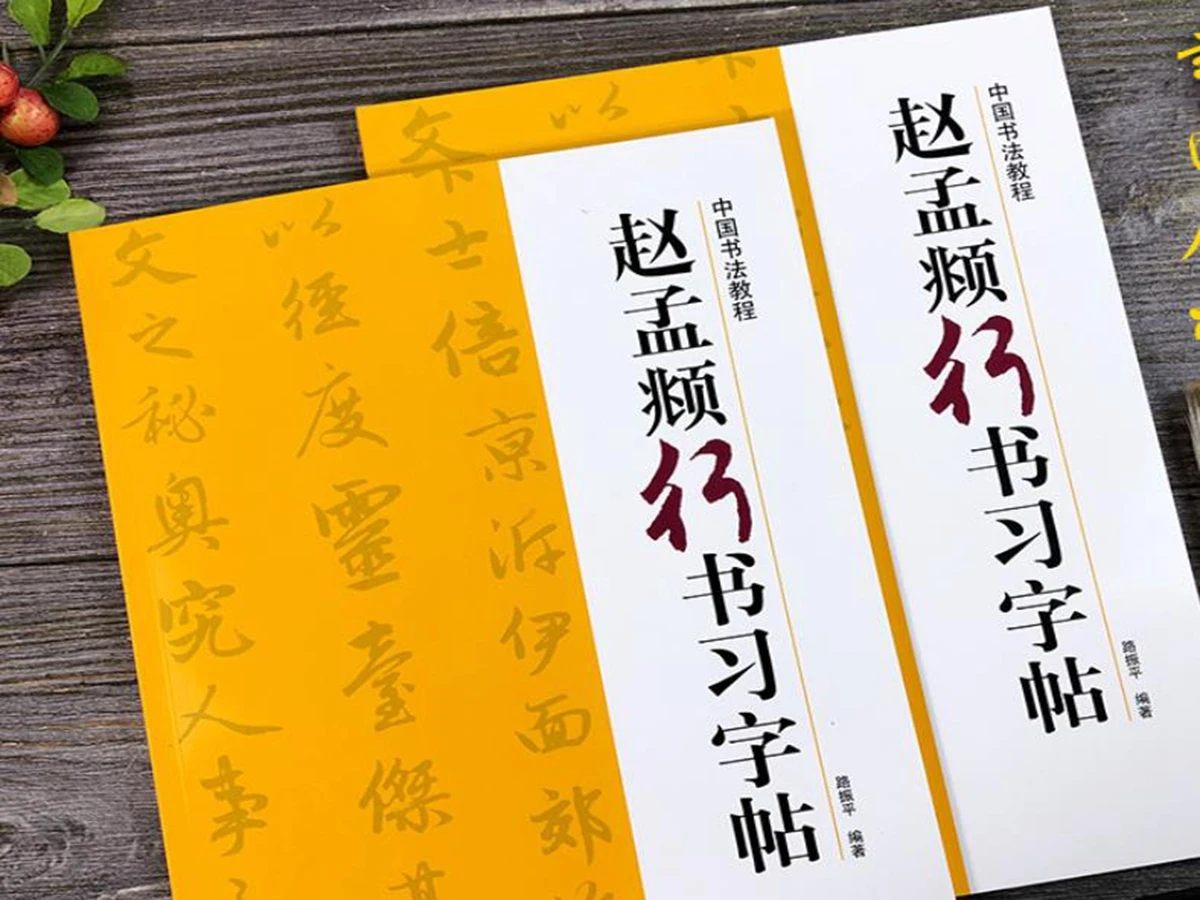 

Книга китайской каллиграфии Zhao Mengfu Xing Shu тетрадь для рукописного письма