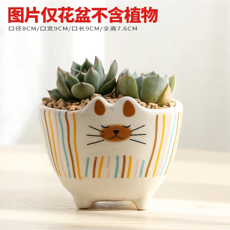Корейский мультфильм кошка мульти-мясо маленький цветочный горшок Ретро дышащая