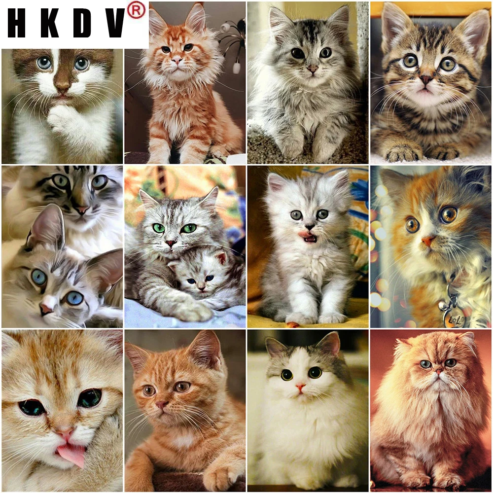 

HKDV Diamond Embroidery Cat 5D DIY Diamond Painting Animals Cross Stitch Kit Rhinestones Mosaic Full Layout Home Decoration