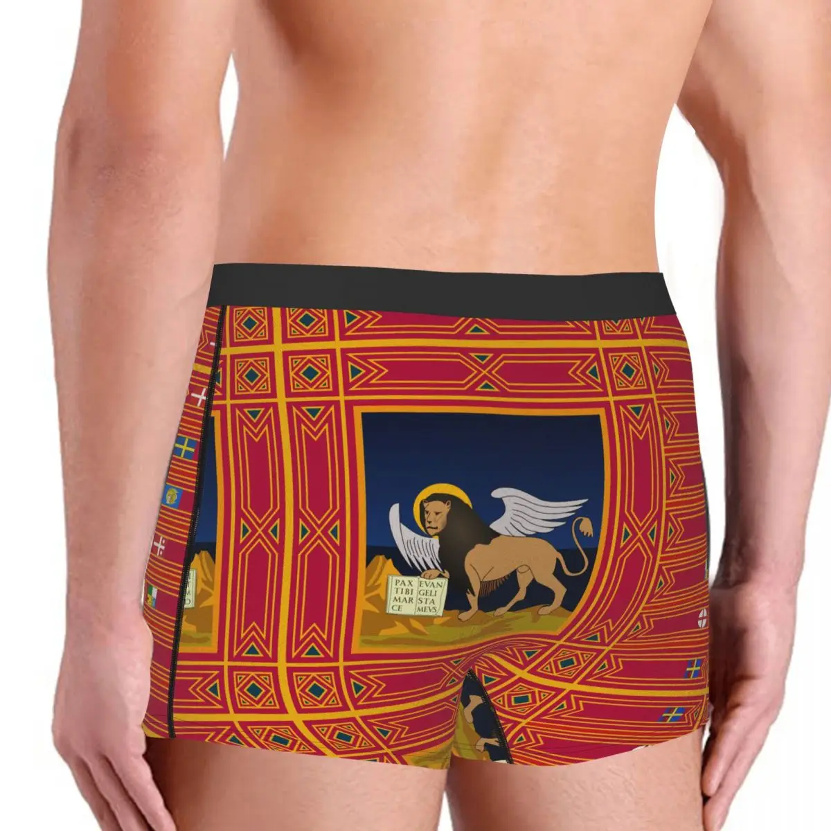 Flag Of Veneto Men's Boxer Briefs regions of Italy Humor Graphic elastic pants for men