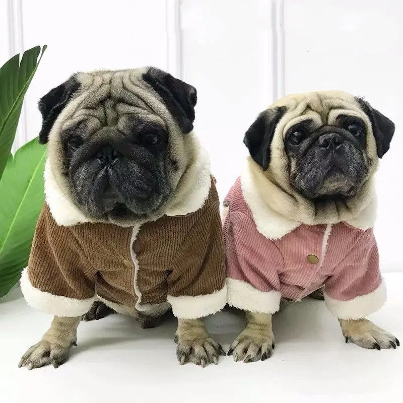 Вельветовая куртка в стиле французского бульдога пальто зимняя теплая шерстяная