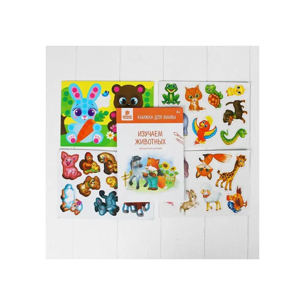 Educational set &quotWe study animals&quot 10 lessons equipment education for school Supplies Office | Канцтовары для офиса и