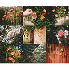 Набор для алмазной вышивки сделай сам, картина с цветами, квадратными стразами, мозаика для домашнего декора стен