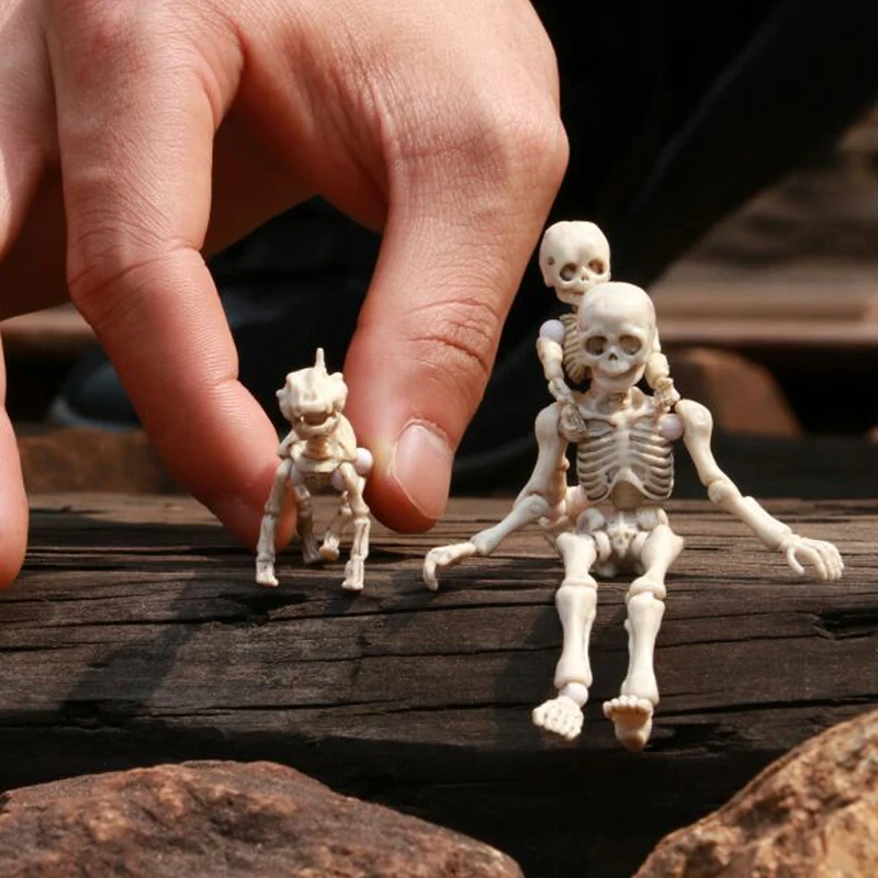 Внутренние Re единение с едой череп человека серии на шарнирах представляют