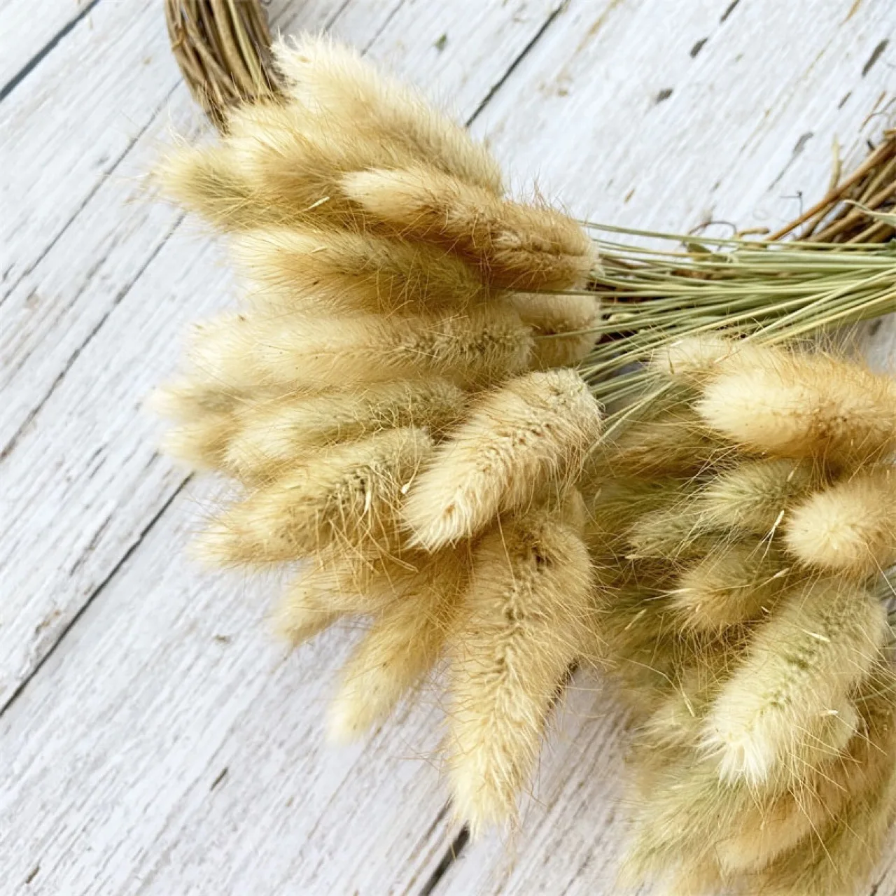 

15pcs Rabbit Tail Grass Dried Natural Flowers Pampas Grass Real Dry Flower Bouquet Wedding Marriage Decoration Accessorie