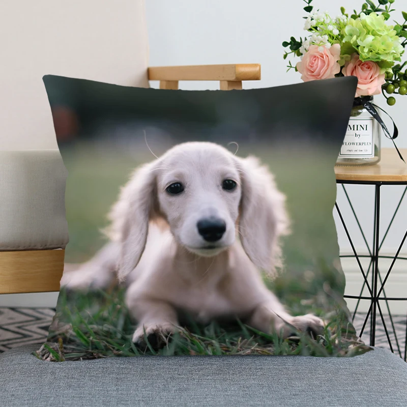 Таксы животных из мультфильмов Лидер продаж Подушка Чехол Высокое качество