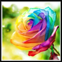 landscape flower color rose full squareround drill 5d diy diamond painting embroidery cross stitch 5d home decor gift
