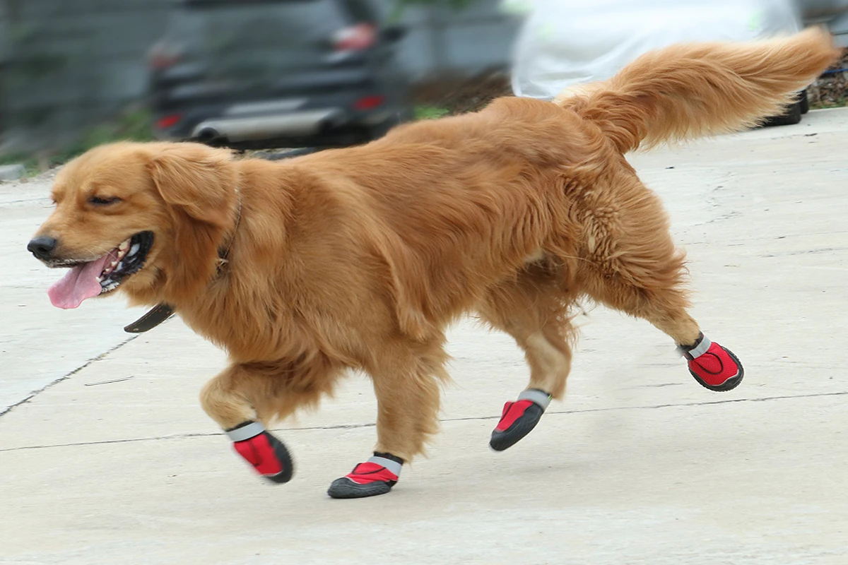 Обувь для собак противоскользящие Светоотражающие ремешки Всесезонная обувь