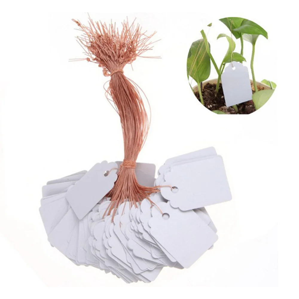 

100pcs Garden Labels Plant Classification Sorting Sign Tag Ticket Plastic Writing Plate Board For Card Yard