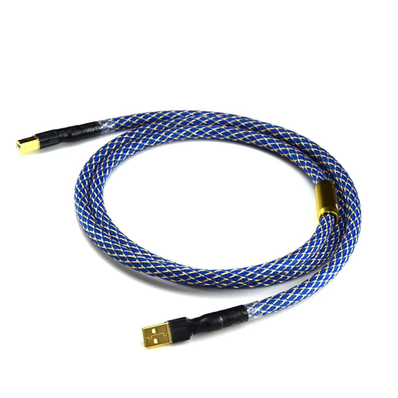 Посеребренный Высокоточный USB-кабель G5 DIYLIVE высокого качества 6N OFC AB DAC для