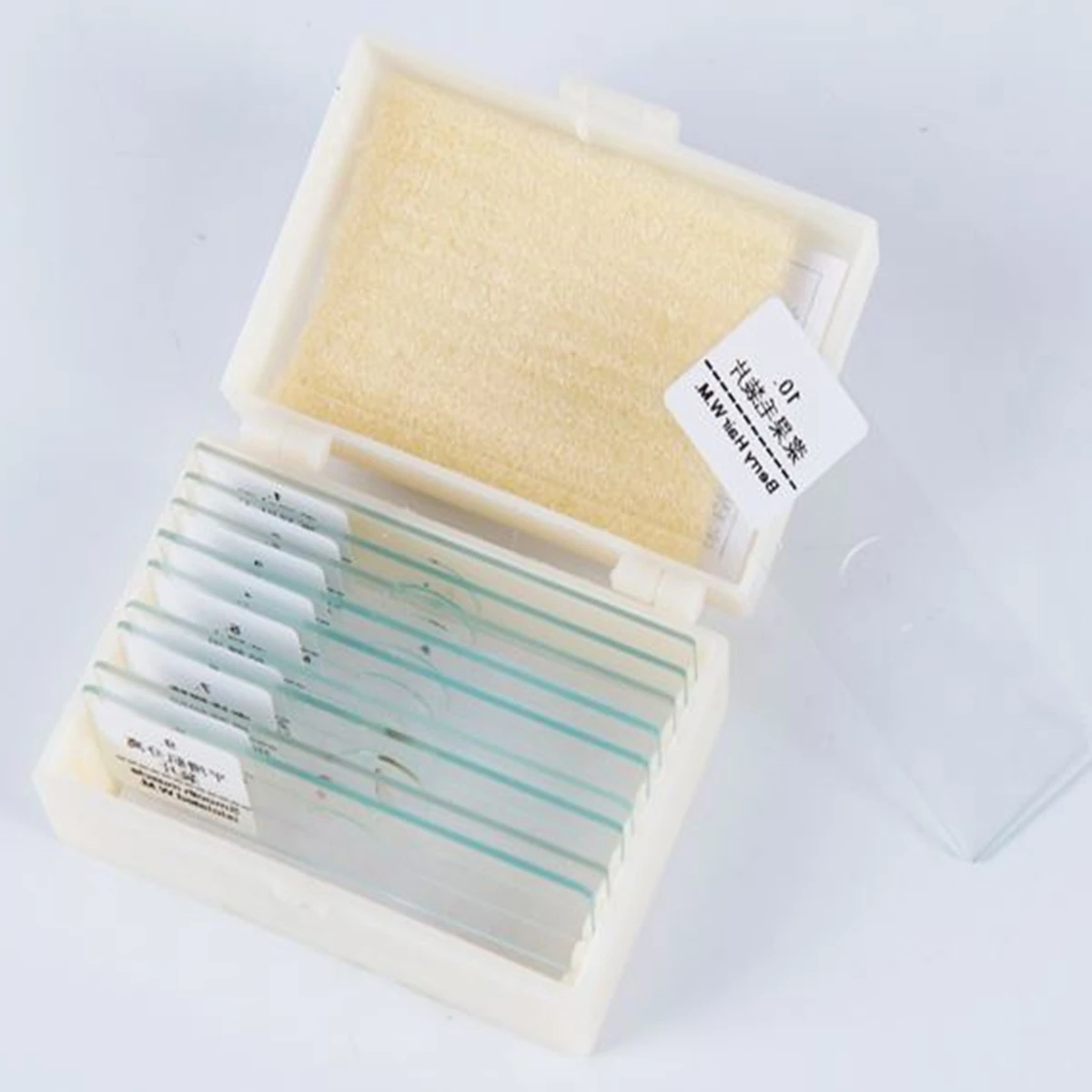 Набор предметных стекол для микроскопа Histology слайды подготовленные 10 шт. |