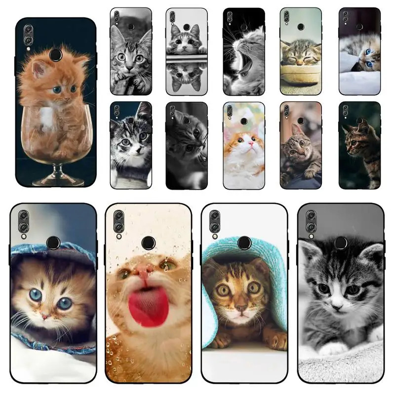

MaiYaCa Funny Kitten Cat Phone Case for Huawei Honor 8 x 9 10 20 V 30 pro 10 20 lite 7A 9lite case