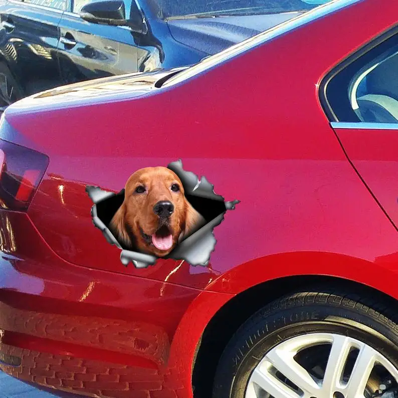 

2021 Ginger english cocker spaniel car decal, cocker spaniel magnet, spaniel sticker, spaniel decal