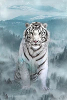 hoffman fabrics call of the wild white tiger panel 29 inches digitally printed