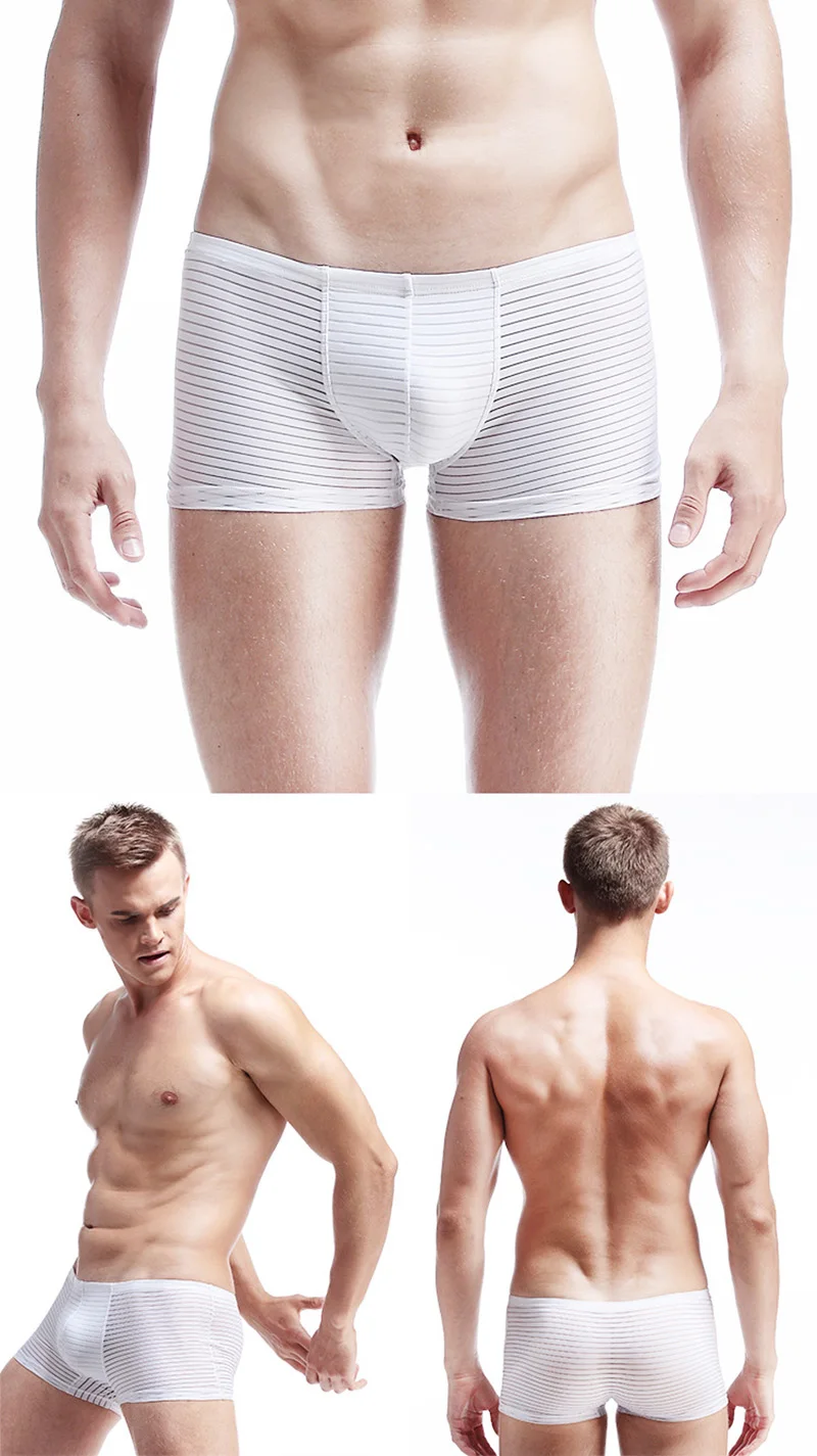 Мужские трусы-боксеры, 4 шт./партия, новинка, Ice Silk Homme Cuecas, трусы, ультра-тонкие дышащие боксеры, сексуальное нижнее белье, L, XL, XXL, XXXL