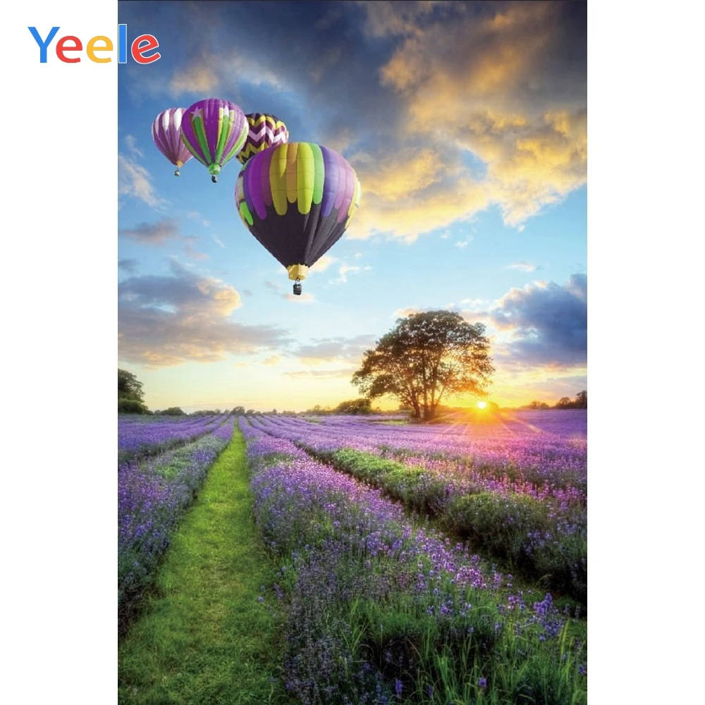 Осенний полевой цветок воздушный шар природный пейзаж Виниловый фон для