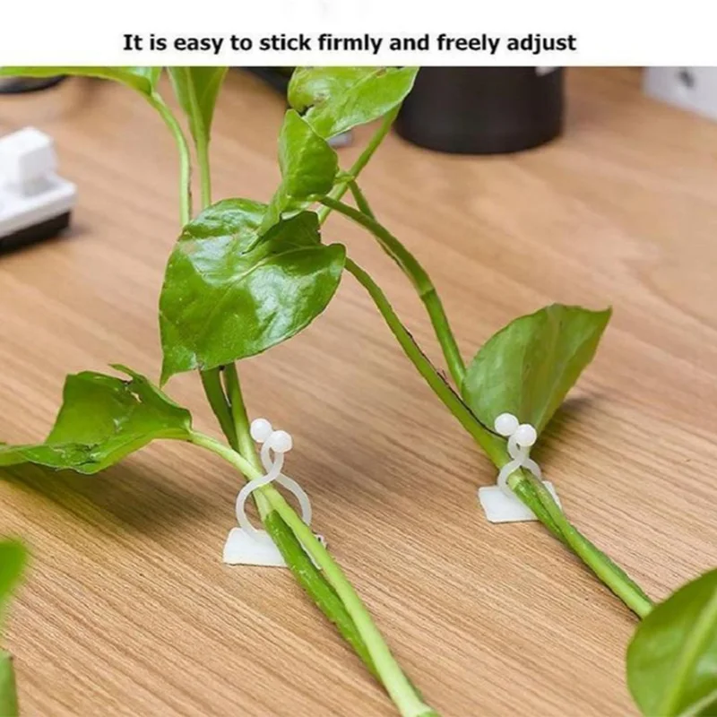 10 шт. зажимы для фиксации садовых овощей и растений|Детские лотки крышки| |