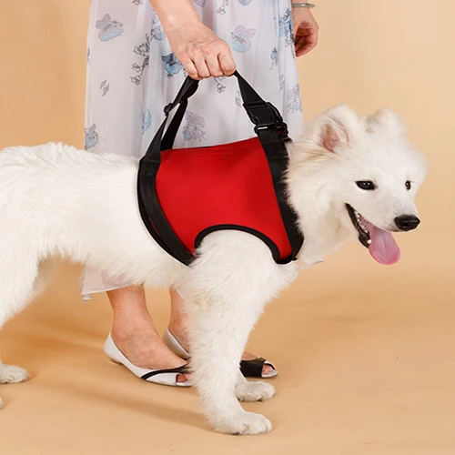 Front leg TAILUP поводок для собак, поводок для пожилых собак K9, собачья помощь с ручкой, товары для помощи, поводок, поводок спереди и сзади - Цвет: Front leg