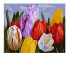 Набор для рисования по номерам на холсте, без каркаса, тюльпан, 4050 см