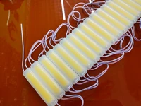 500PCS LED Module 2W IP65 Waterproof DC12V COB Commercial Advertising