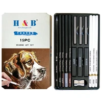 15pcs charcoal pencil set custom art supplies white charcoal powder pencil set art supplies paint brushes for acrylic painting