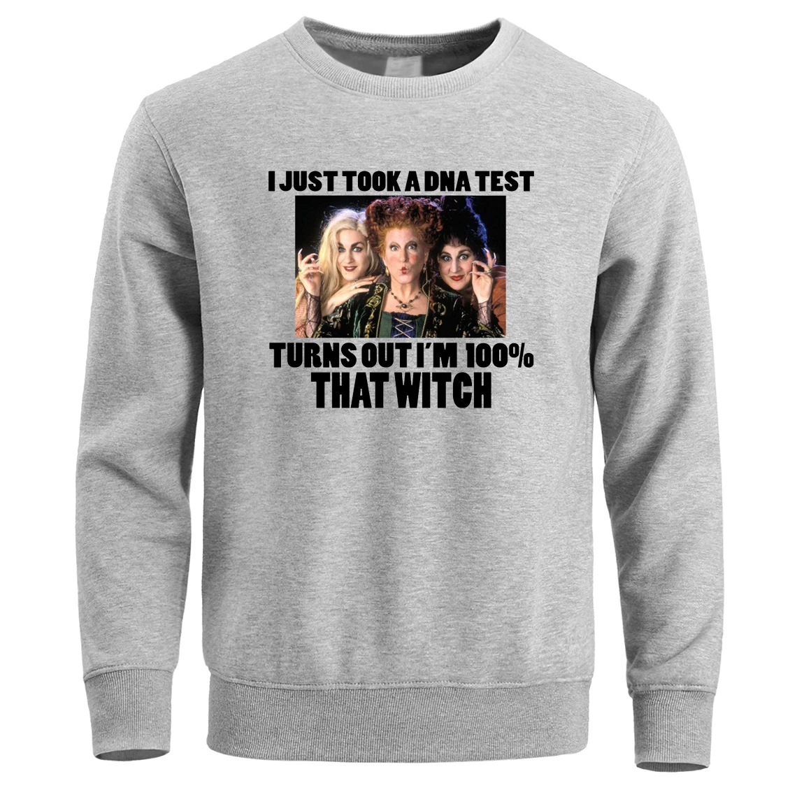 Толстовка с капюшоном Hocus Pocus I Just Take A Dna test is I'M 100% That Witch на Хэллоуин Мужская