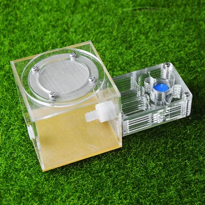 Мини Акриловые и гипсовые муравьиные фермы Муравьиное Гнездо дом для молодых