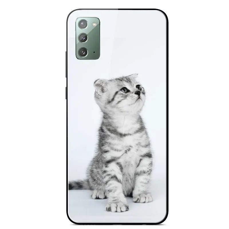

For Samsung Galaxy Note 20 Case Mirror Painted Tempered glass shockproof Back Cover For Samsung Note 20 TPU Frame Phone Cases