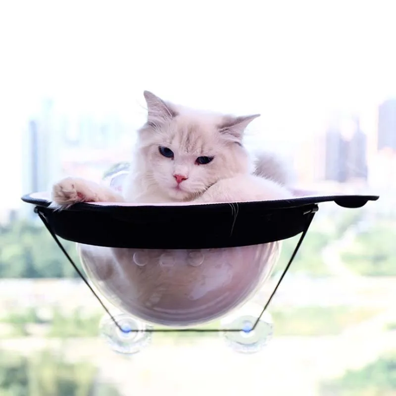 

Pet Cat Pet Hanging Bed Pet Hammock Bed Sleeping Bed Space Capsule Window Hammock Dogs Cats Toy Sofa Tatami Pet Supplies